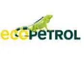 Ecopetrol logo with green iguana illustration